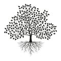 Tree with roots and leaves. Black silhouette. Vector illustration Royalty Free Stock Photo